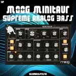 Moog Minitaur Supreme Analog Bass