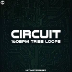 UP Circuits – 130 Tribe Loops at 160 BPM